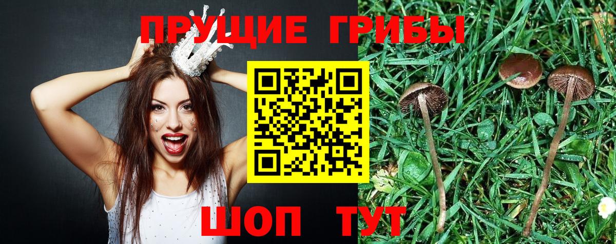 Псилоцибиновые грибы ЛСД Каспийск