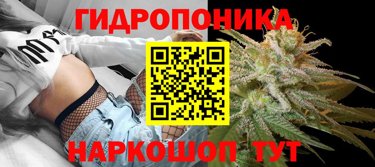 Шишки марихуана OG Kush  Каннабис тримм  Каспийск  Марихуана тримм  Вход с VPN  МАРИХУАНА тримм 